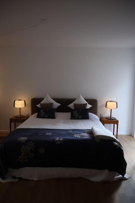 Allerinsel - Appartement Am Celler Yachthafen מראה חיצוני תמונה